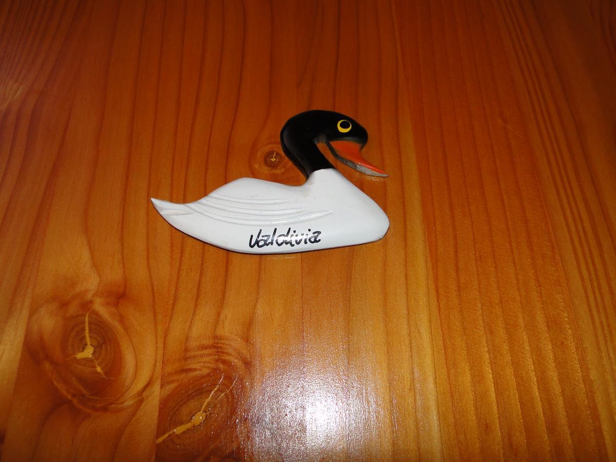 Cabanas Cisne Cuello Negro Lejlighed Valdivia Eksteriør billede